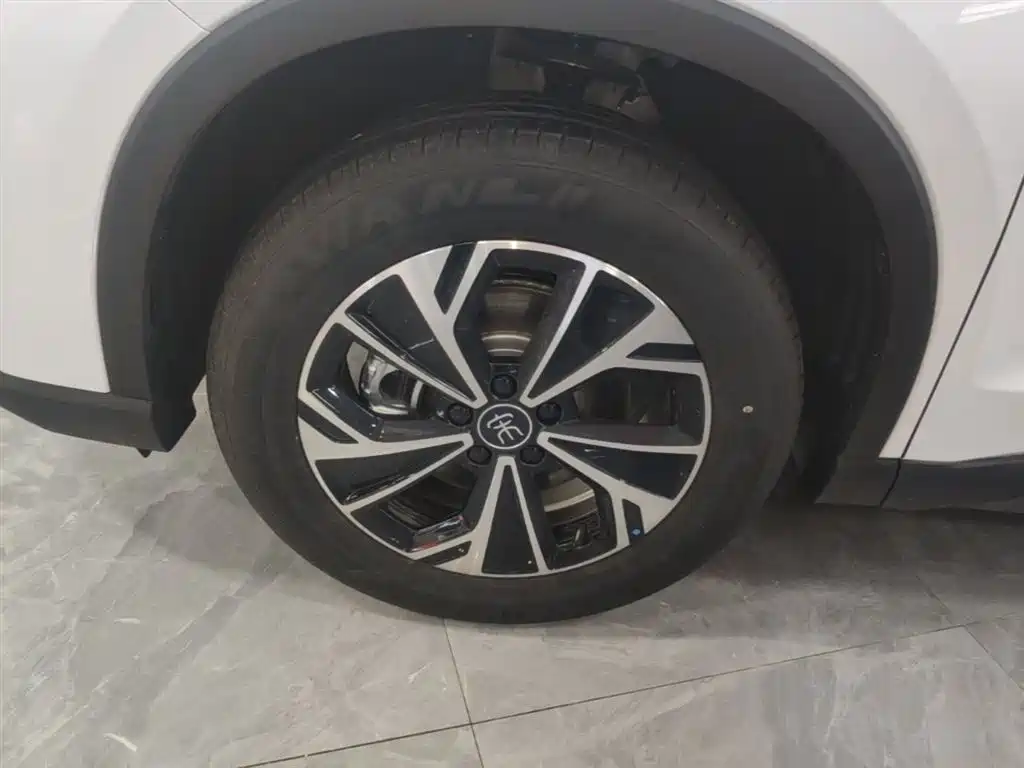 BYD Song Pro New Energy 2026 DM-i 133KM Progressive фото 23