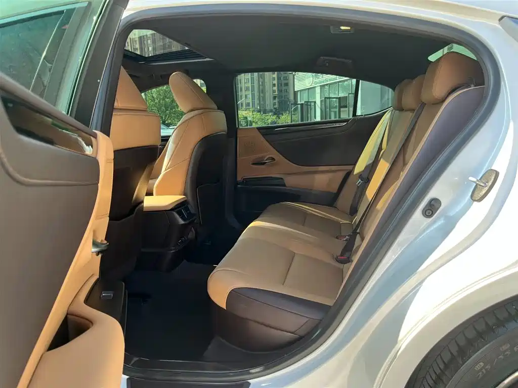 Lexus ES 2020 Model 300h Excellence Edition фото 13
