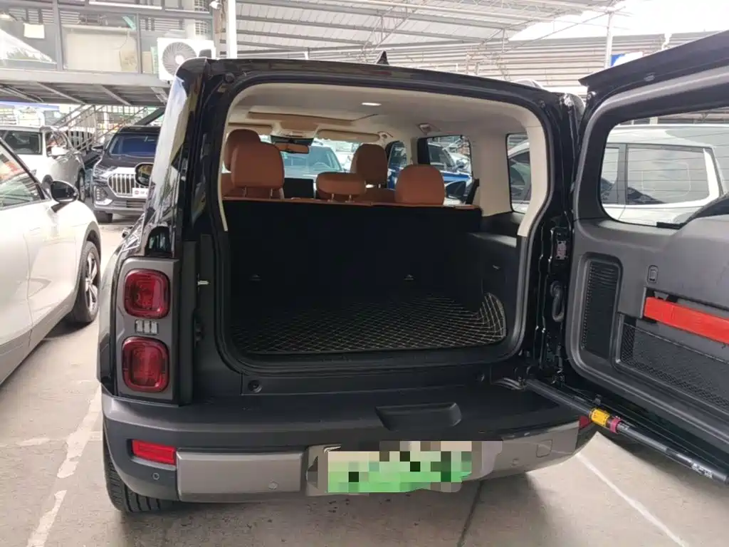 Haval Raptor 2024 2024 Hi4 145 Cross-country Edition