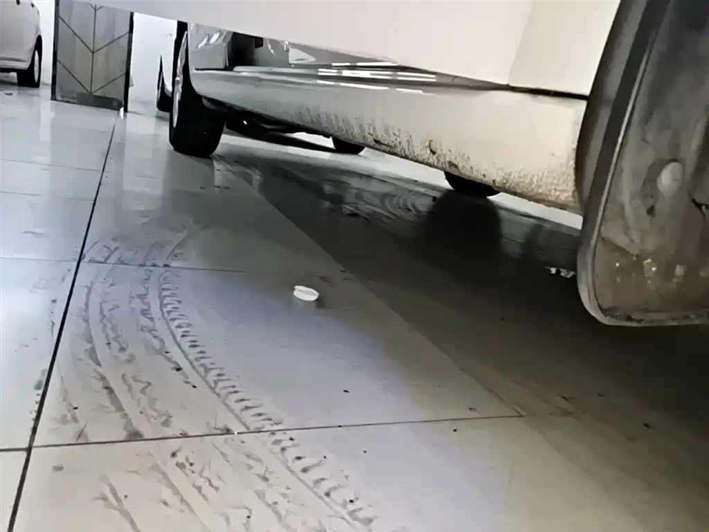 Volkswagen Santana 2019 1.5L Auto Trend Edition China VI фото 21