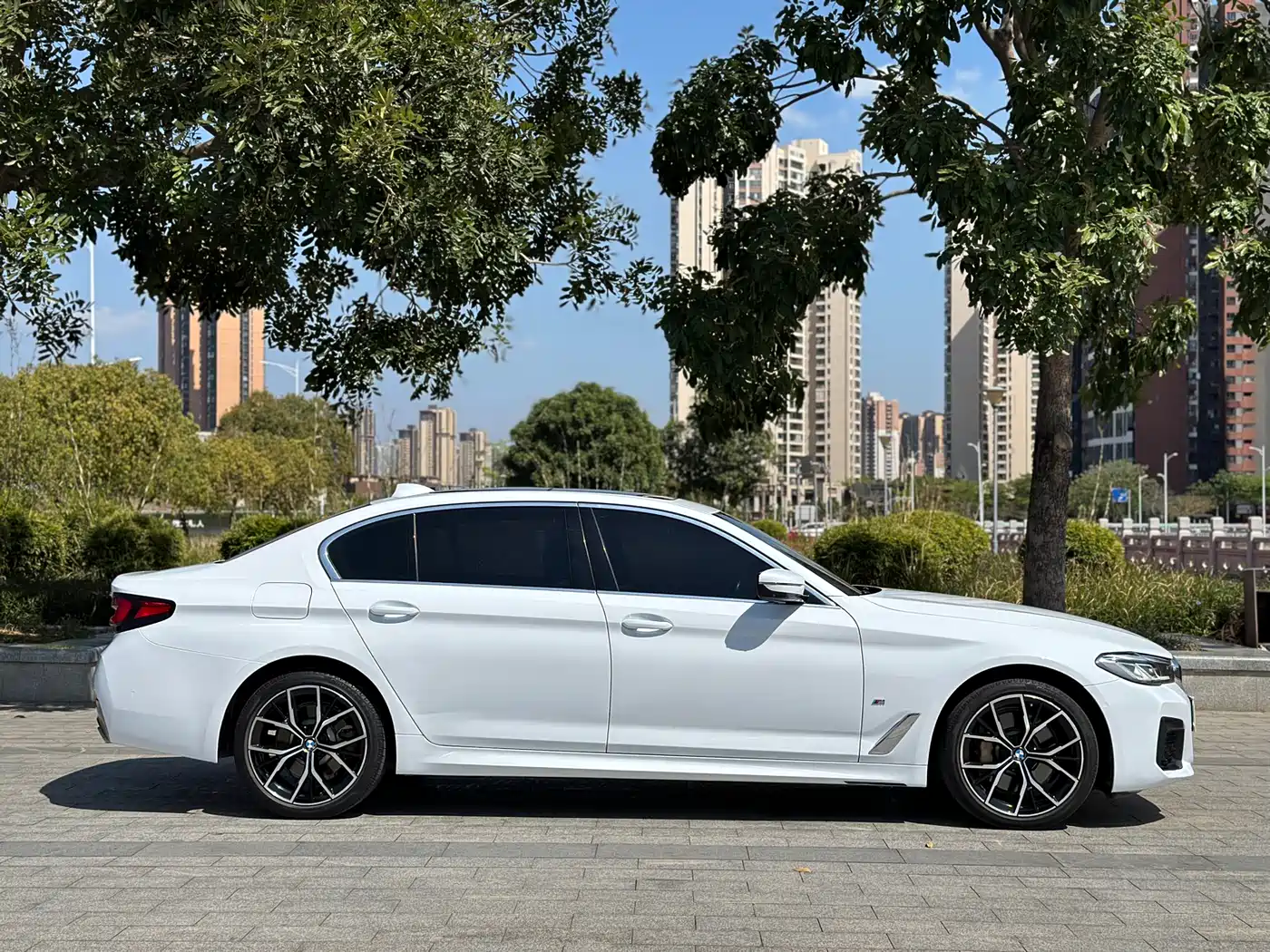 BMW 5 Series 2021 530Li Premium M Sport Package фото 7
