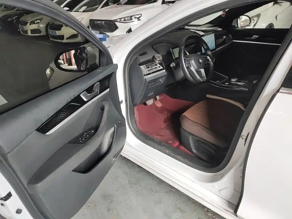 BYD Qin PLUS 2023 EV 510KM Travel Edition фото 16