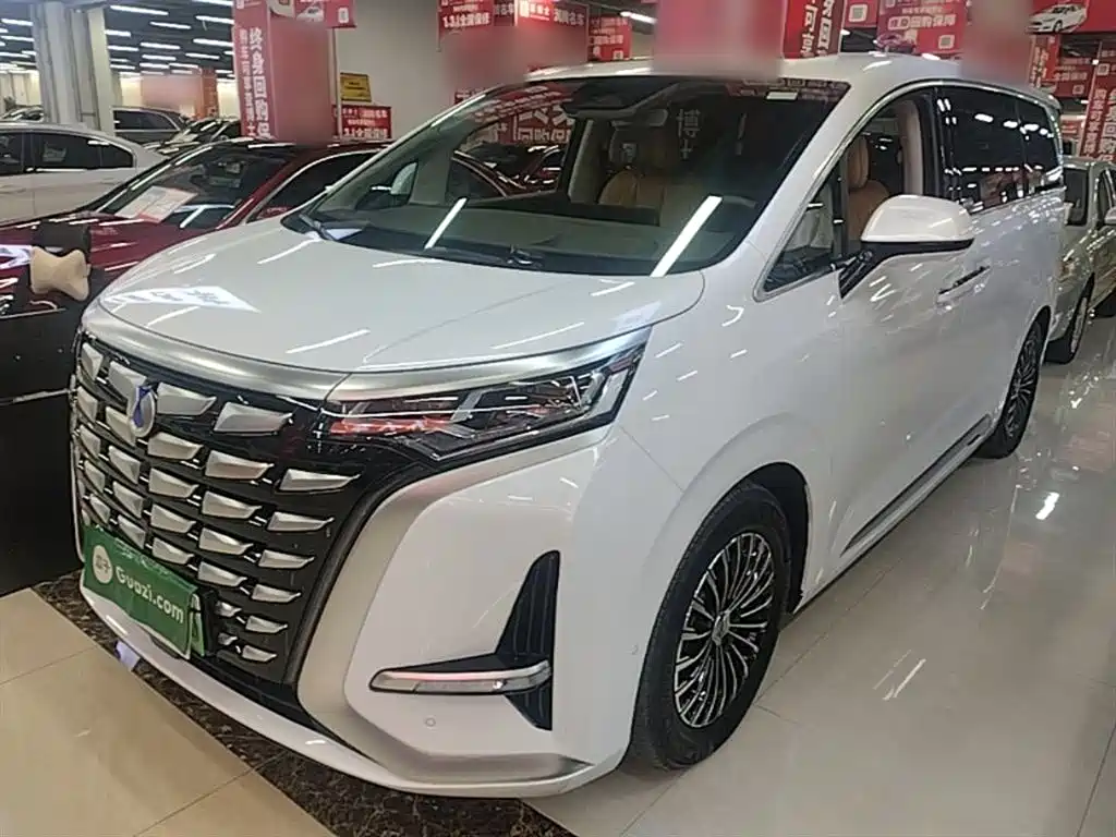 Denza D9 2022 DM-i 970 AWD Flagship фото 2