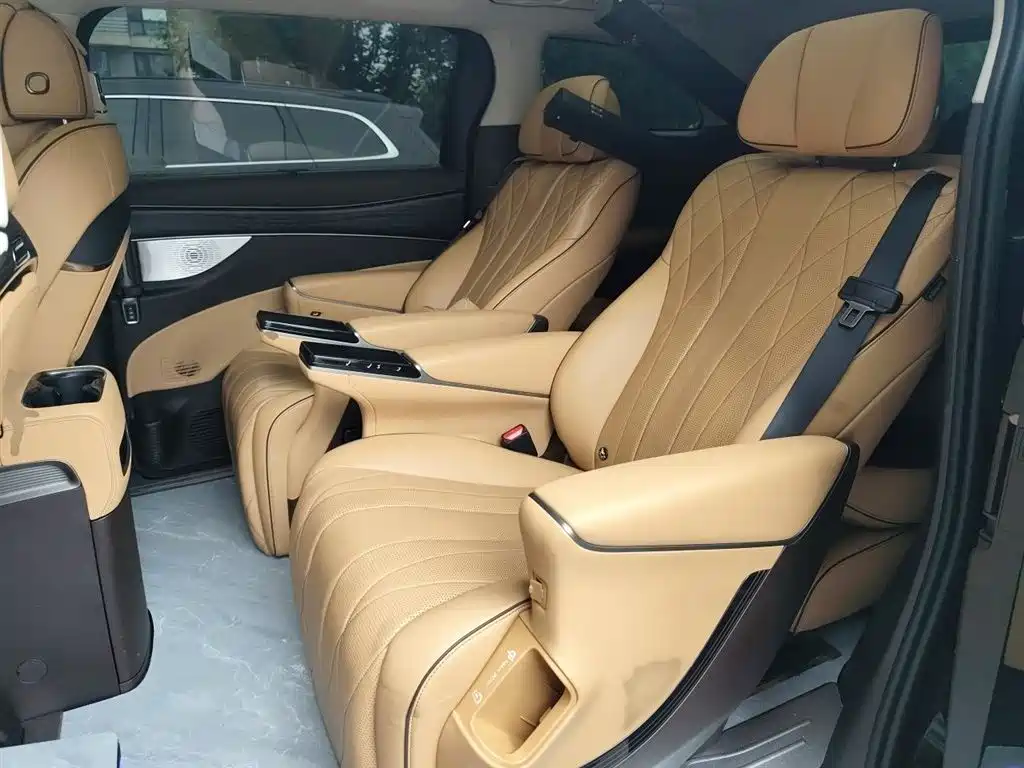 Denza D9 2024 DM-i 980 AWD Prestige фото 15