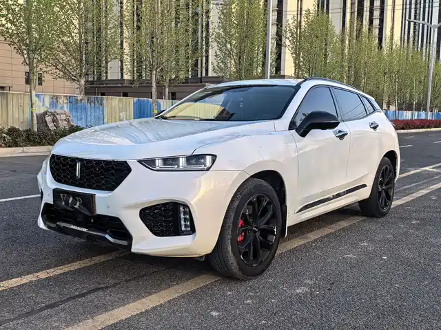 WEI PAI WEI BRAND VV7