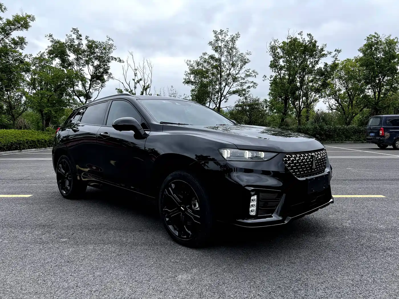 WEY VV7 2020 2020 Model 2.0T Flagship