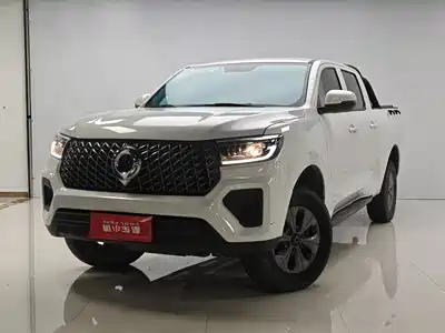 Great Wall Poer