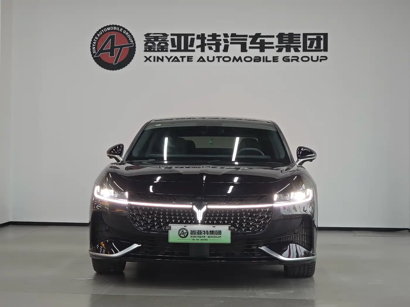 Voyah Passion 2024 2024 PHEV AWD Ultra Long Range Flagship