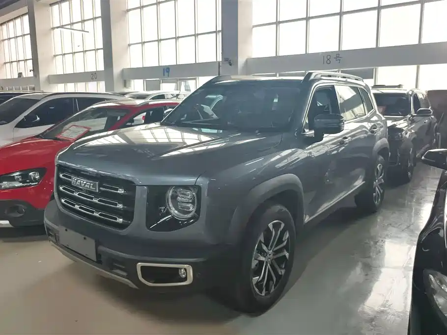 Haval Big Dog 2021 1.5T DCT 2WD Border Collie Edition