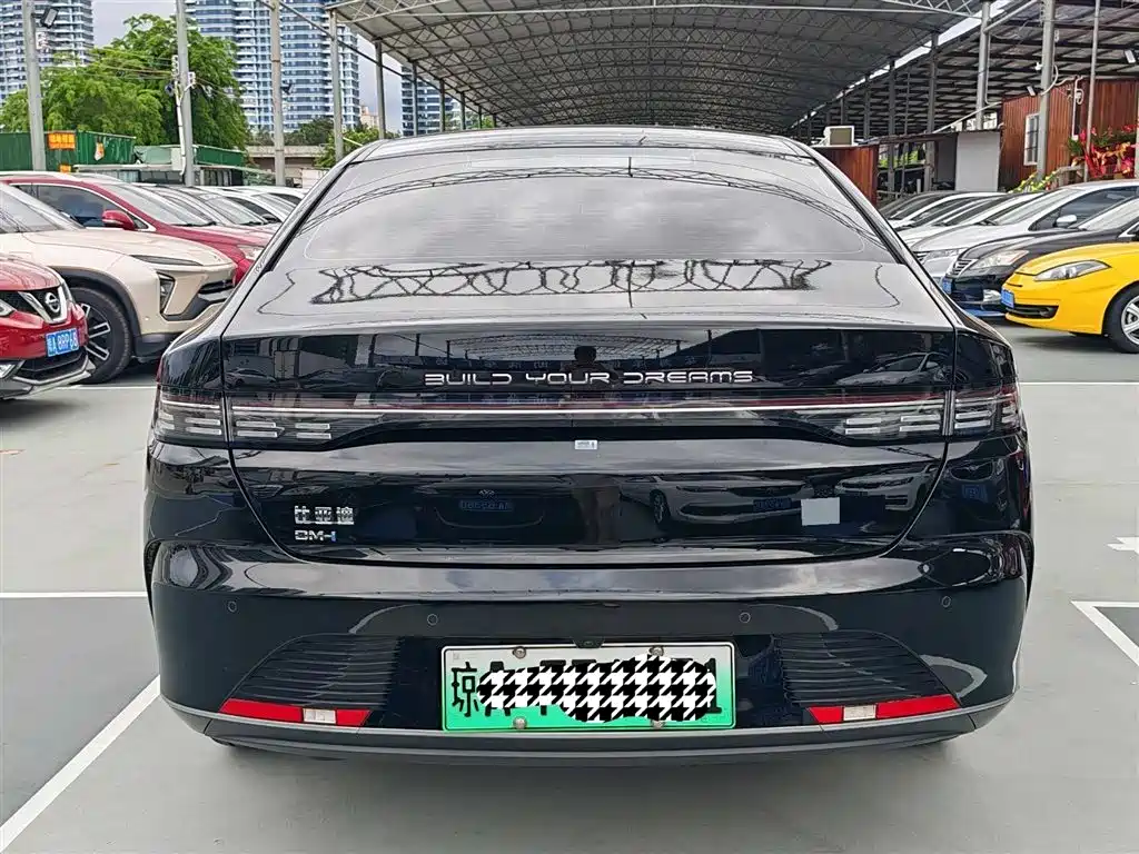 BYD Qin PLUS 2024 Glory Edition DM-i 55KM Leading фото 8