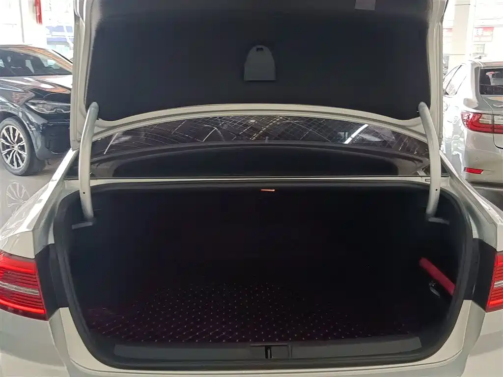 Volkswagen Magotan 2018 280TSI DSG Comfort фото 19