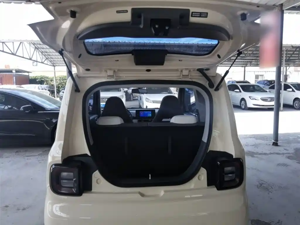 Geely Galaxy Panda 2025 Panda mini 210km Vitality Bear фото 19