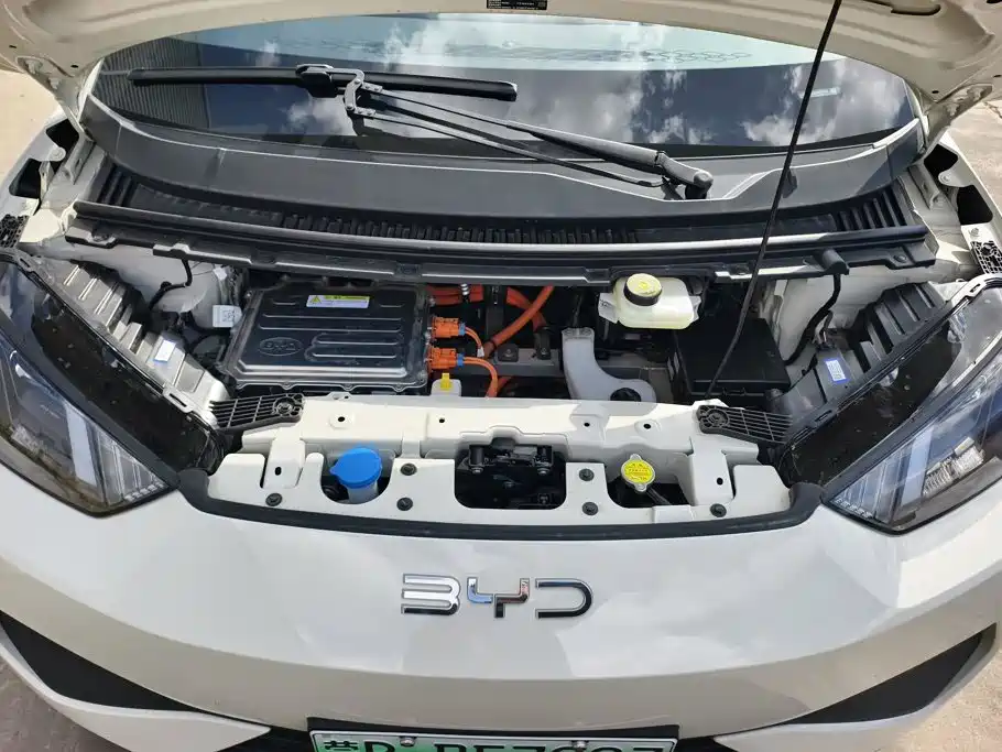 BYD Seagull 2026 2025 Smart Drive Edition 305km Vitality Version