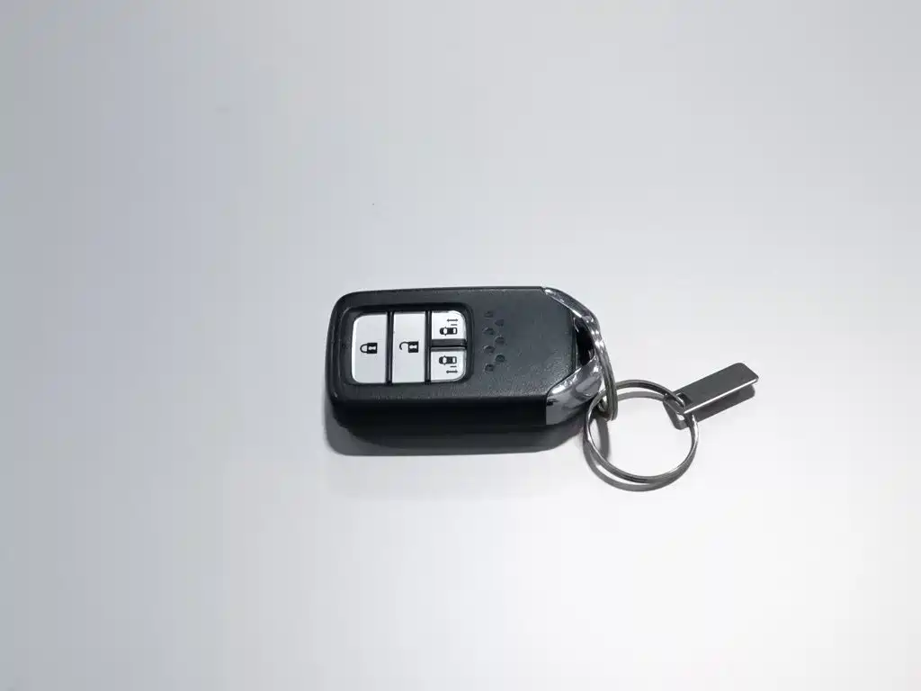 صورة 19 - Honda Elysion