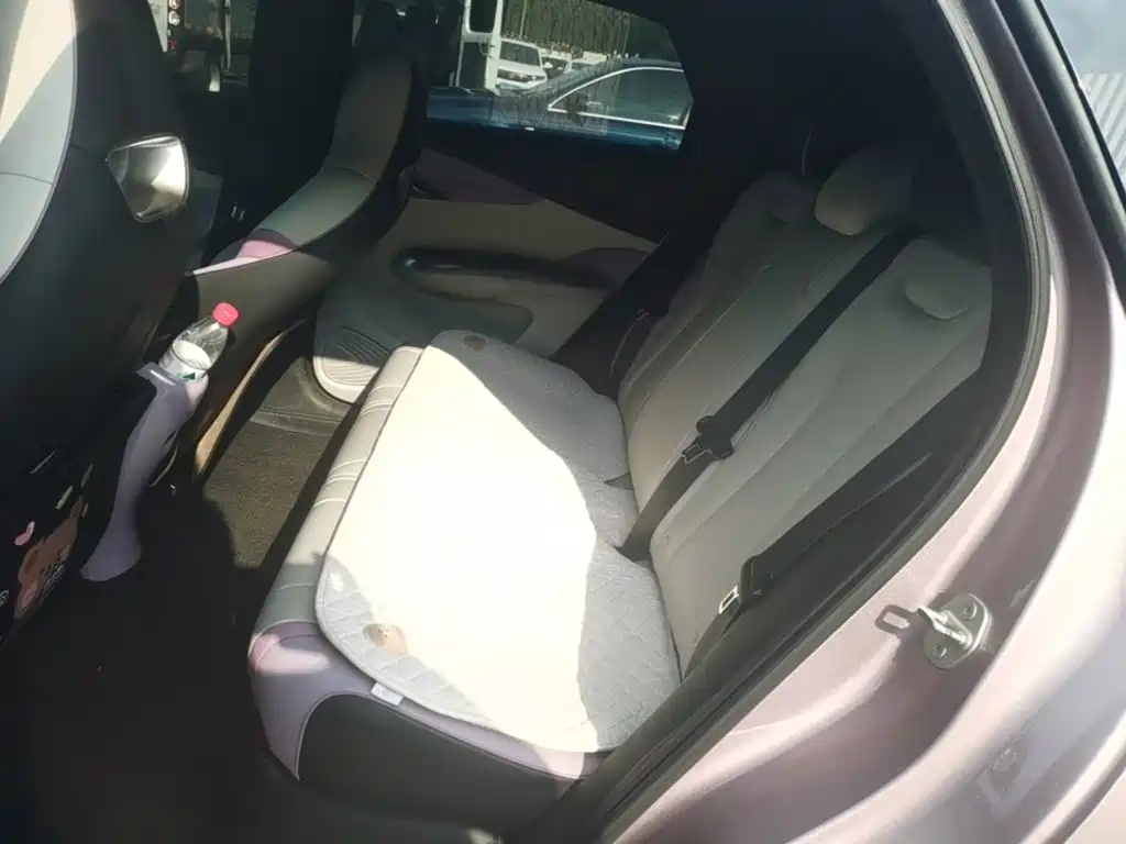 BYD Dolphin 2022 2021 Model 405km Fashion Edition