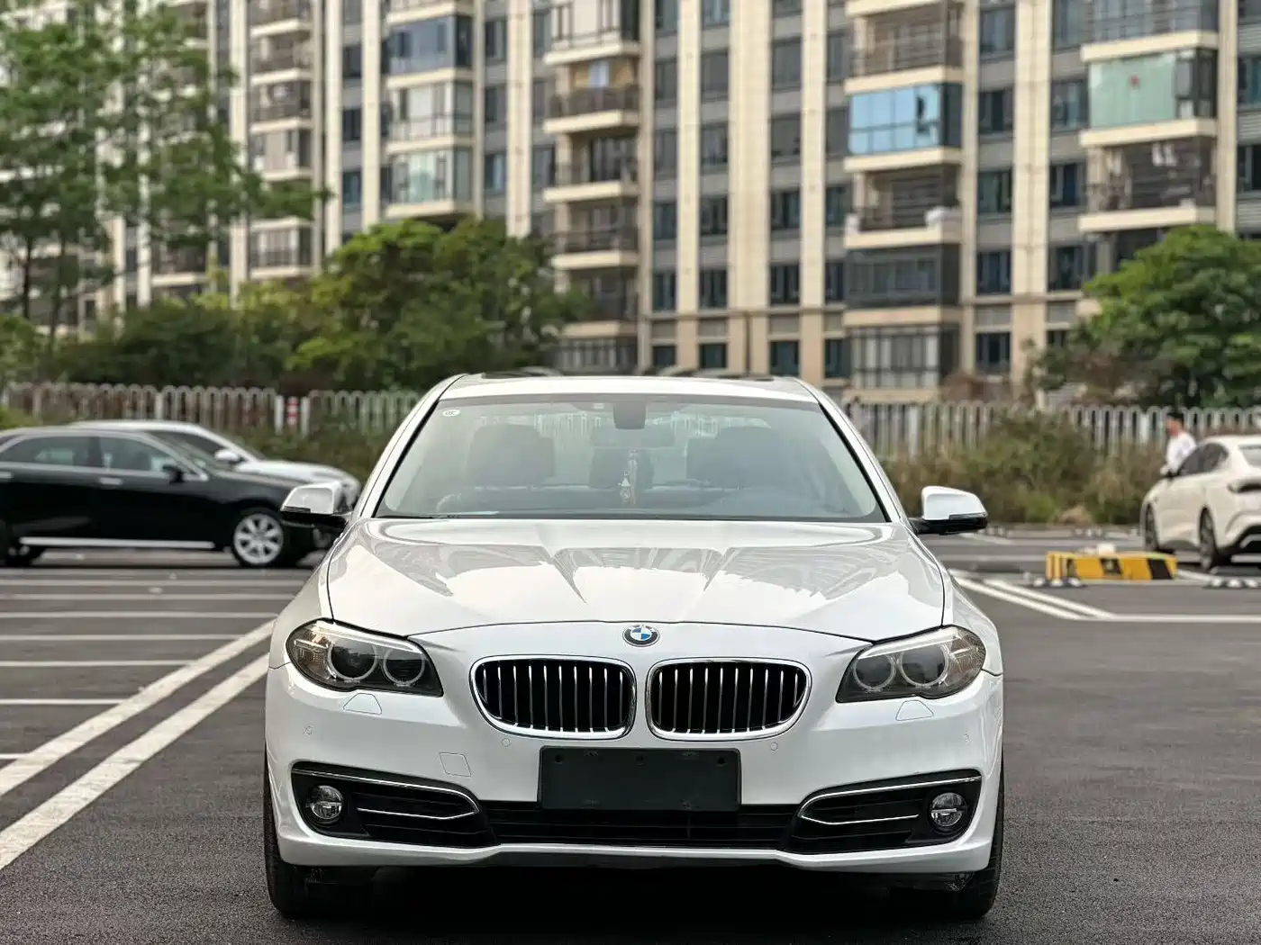 BMW 5 Series 2014 525Li Luxury Design Package фото 2