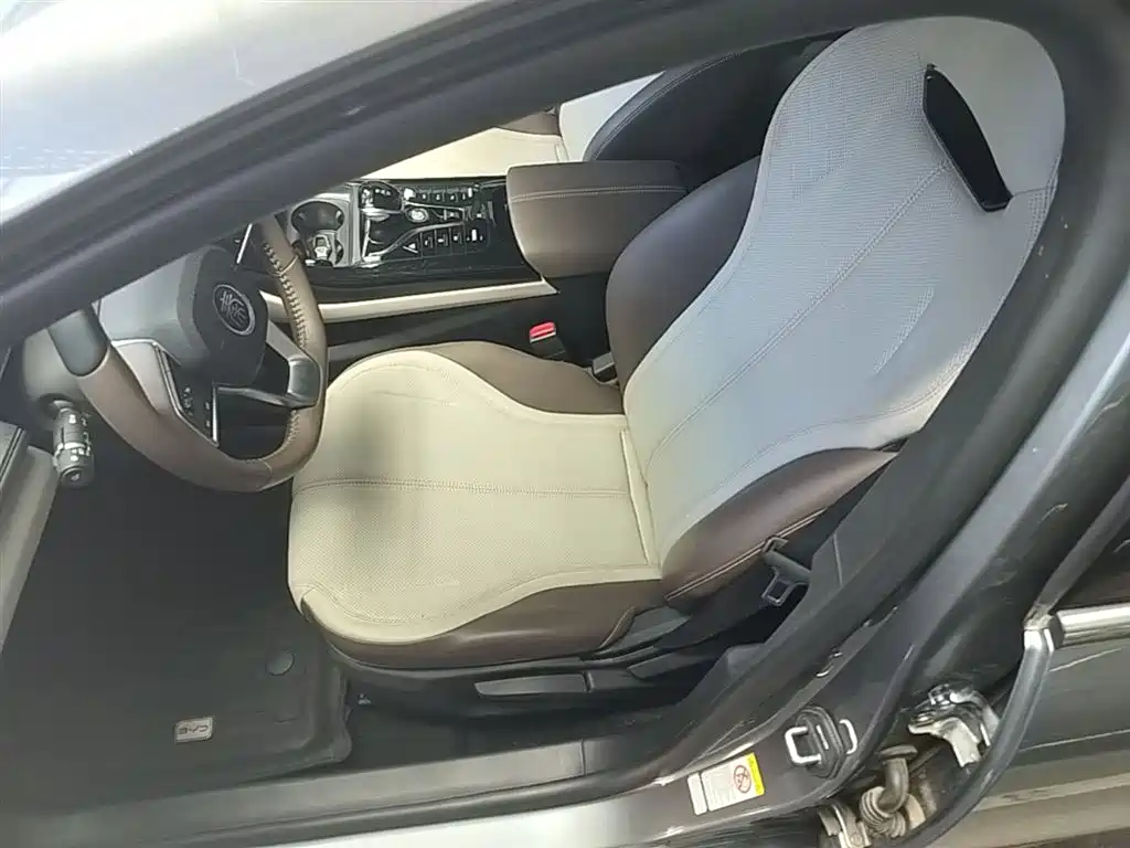 BYD Qin PLUS 2024 Glory Edition DM-i 55KM Leading фото 15