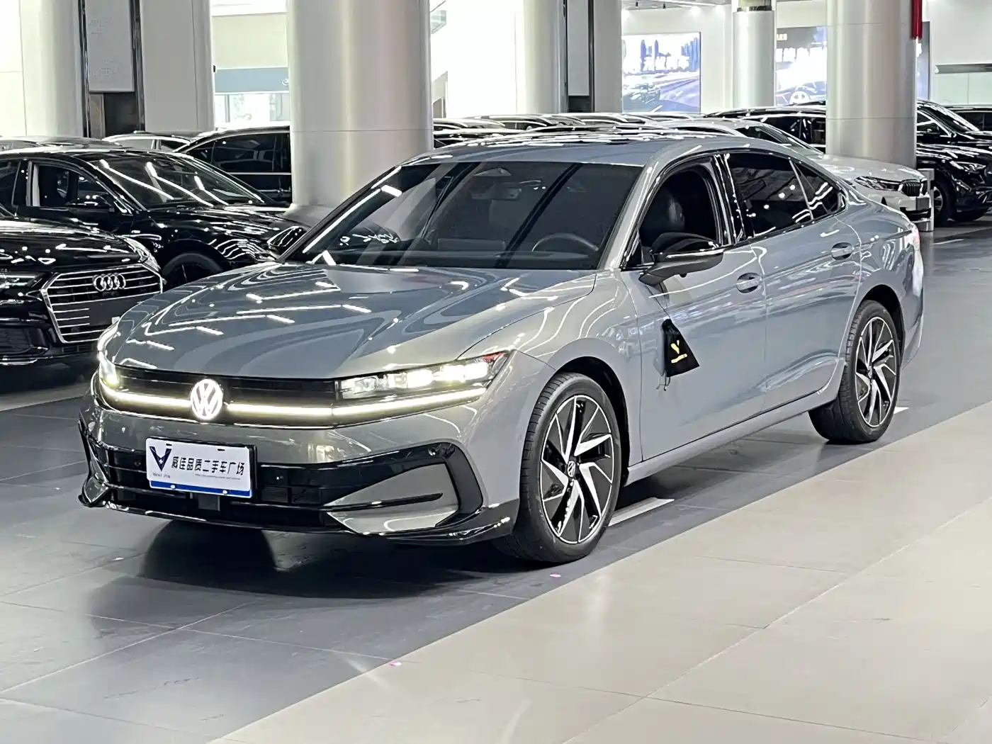 Volkswagen Magotan 2024 380TSI DSG Luxury Edition (Daimai Package)