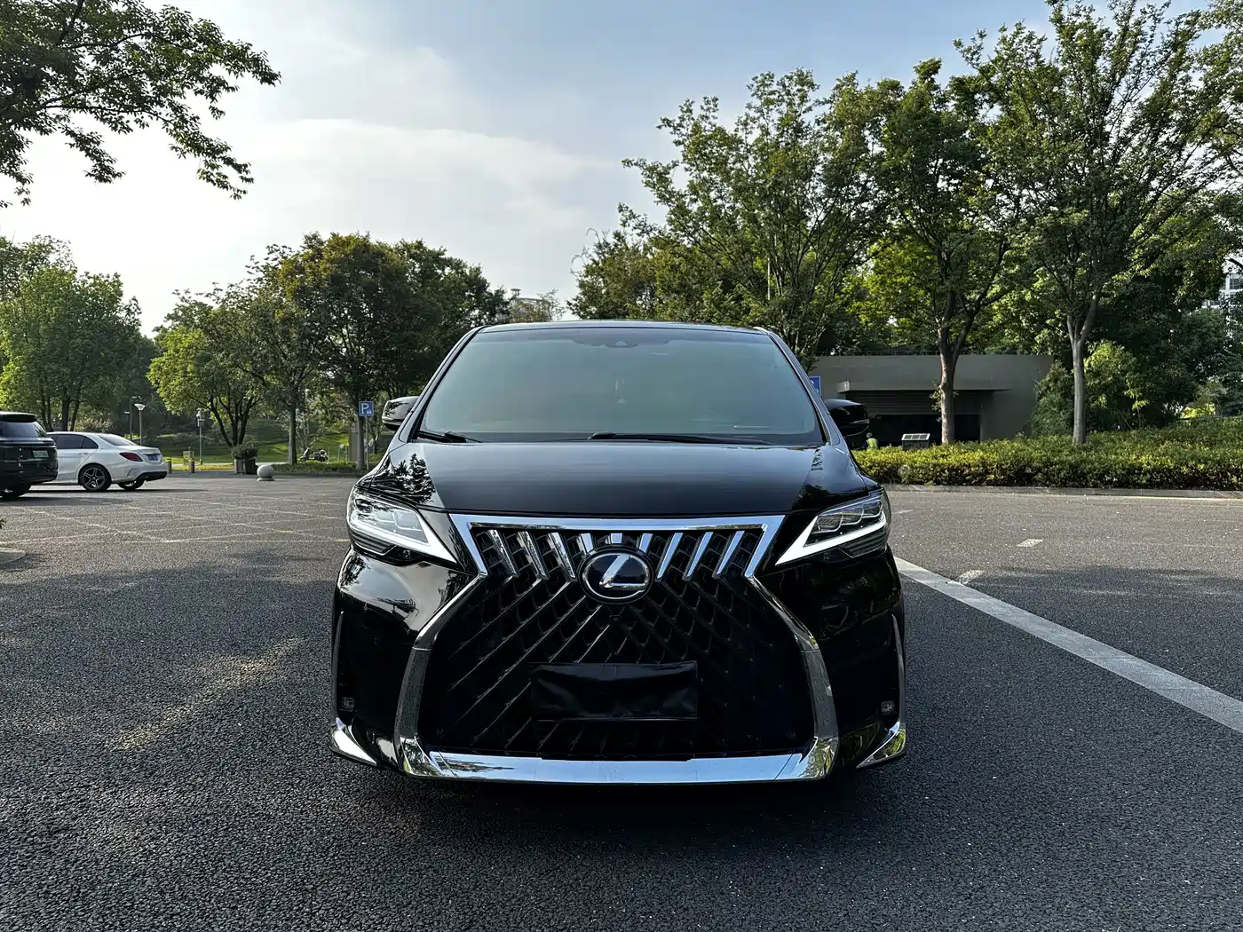 Toyota Vellfire 2020 2020 Twin Engine 2.5L HV Luxury Edition