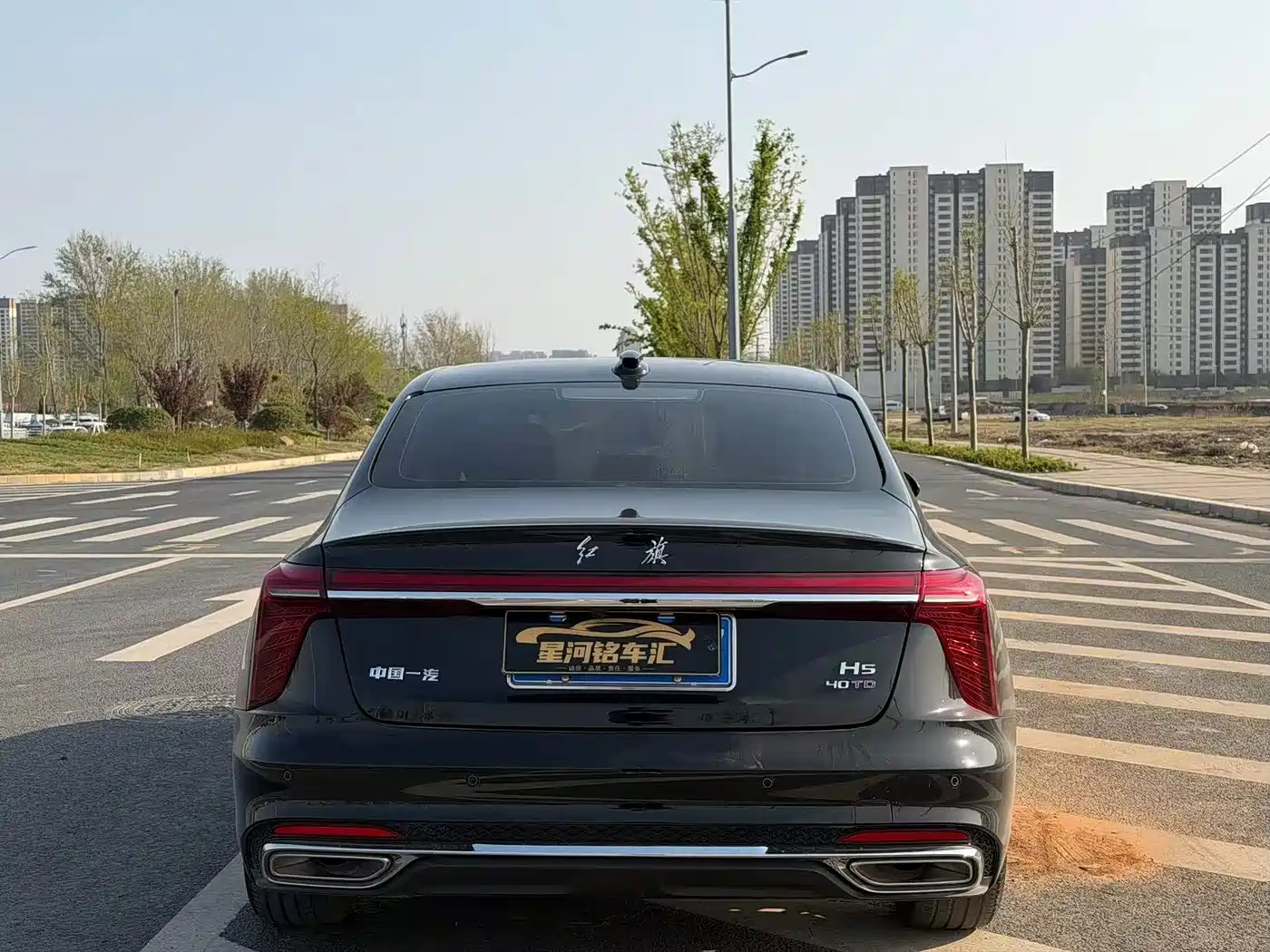 Hongqi H5 2025 2.0T Automatic Flag Celebration 500,000 Units Anniversary Edition фото 8