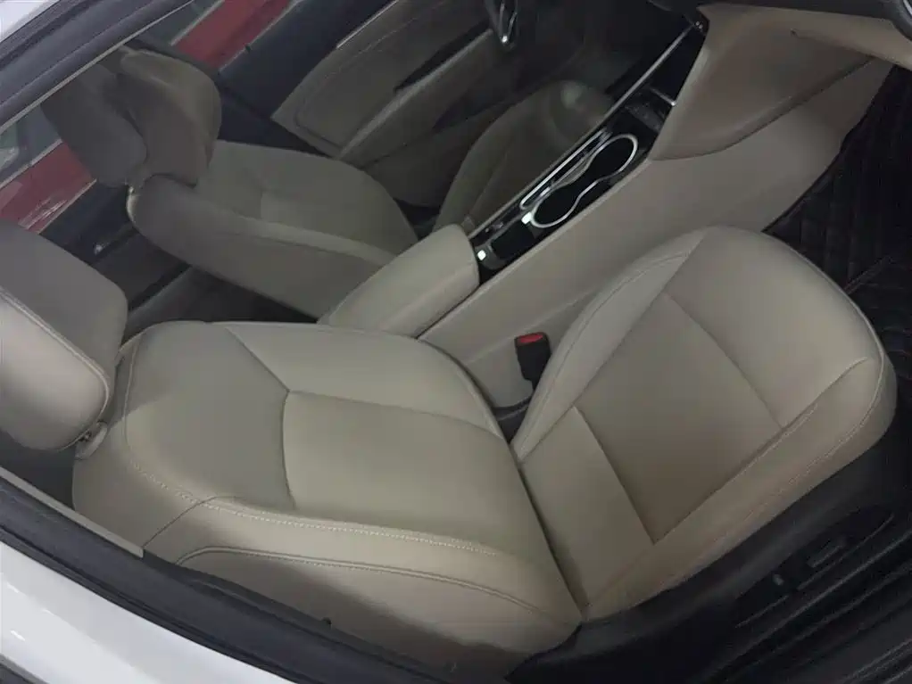 Buick Regal 2020 552T Elite фото 4