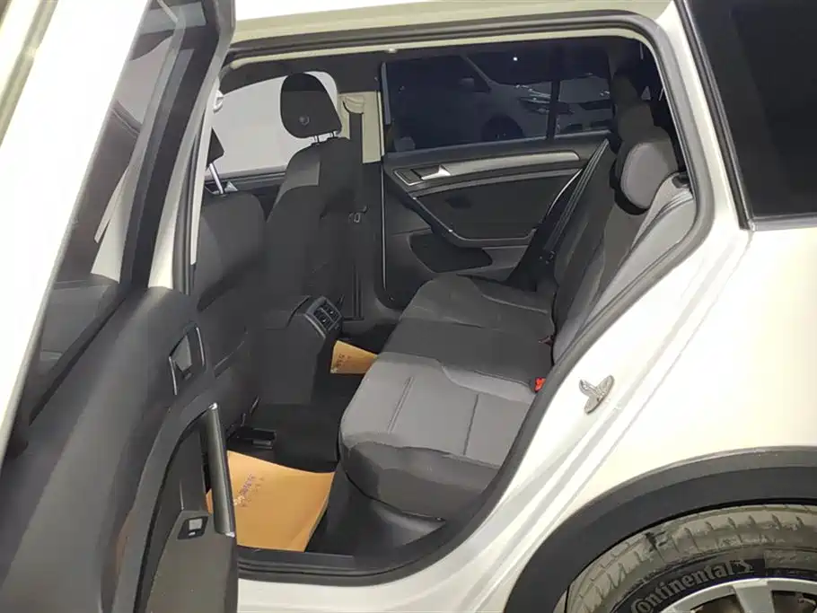 Volkswagen Golf (Import) 2019 1.8TSI Wagon фото 11