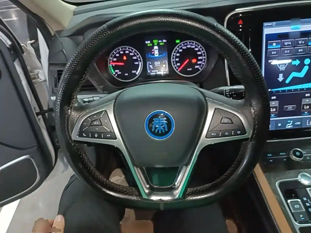 BYD Qin New Energy 2018 1.5T Smart Premium фото 11