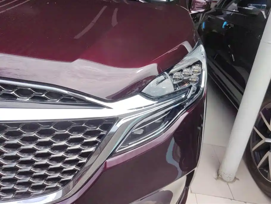 Buick GL8 2020 Avenir Seven-Seat Premium Edition фото 5
