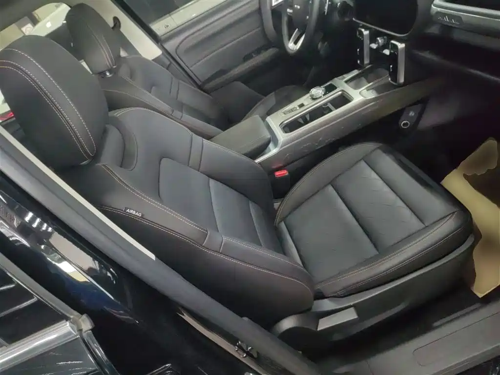Haval Big Dog 2024 1.5T DCT Border Collie Edition фото 25