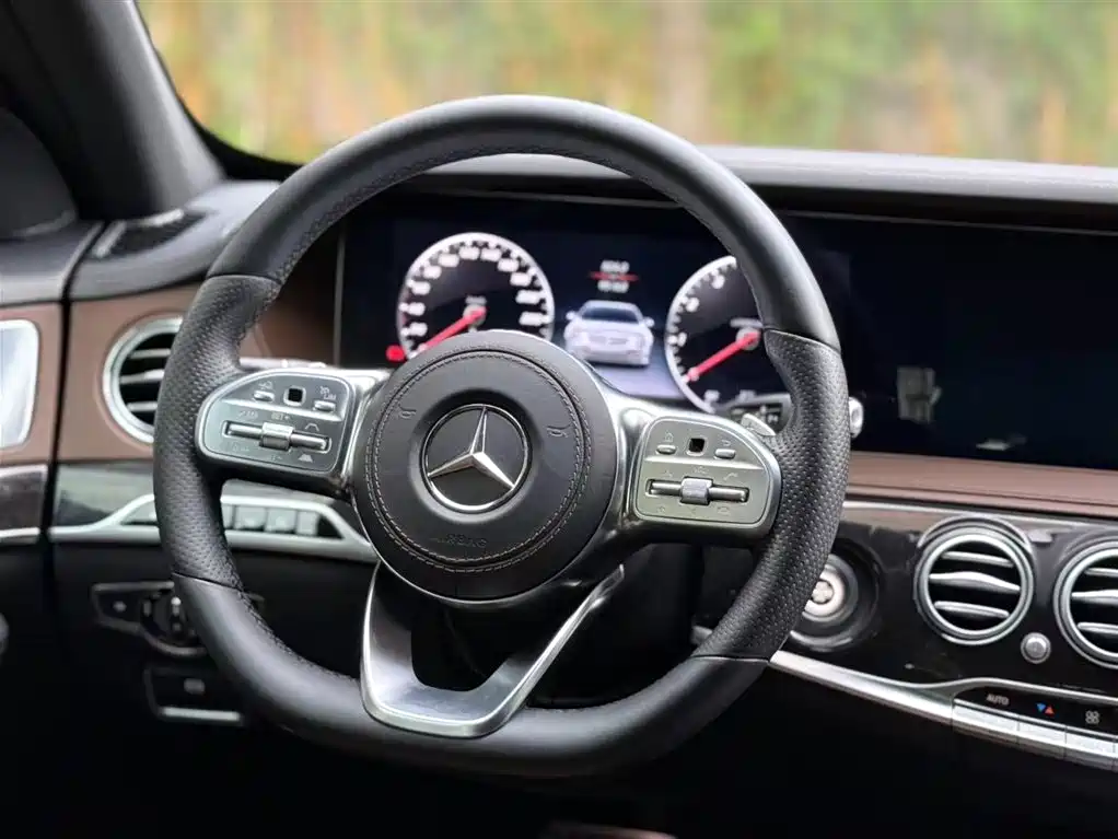 Mercedes-Benz S-Class 2018 S 450 L 4MATIC Excellence Special Edition фото 21