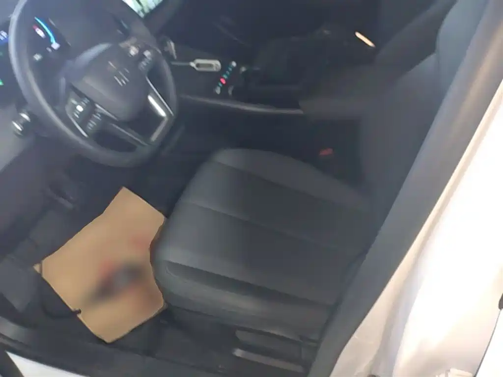 BYD Qin PLUS 2026 DM-i Smart Edition 128KM Progressive фото 15