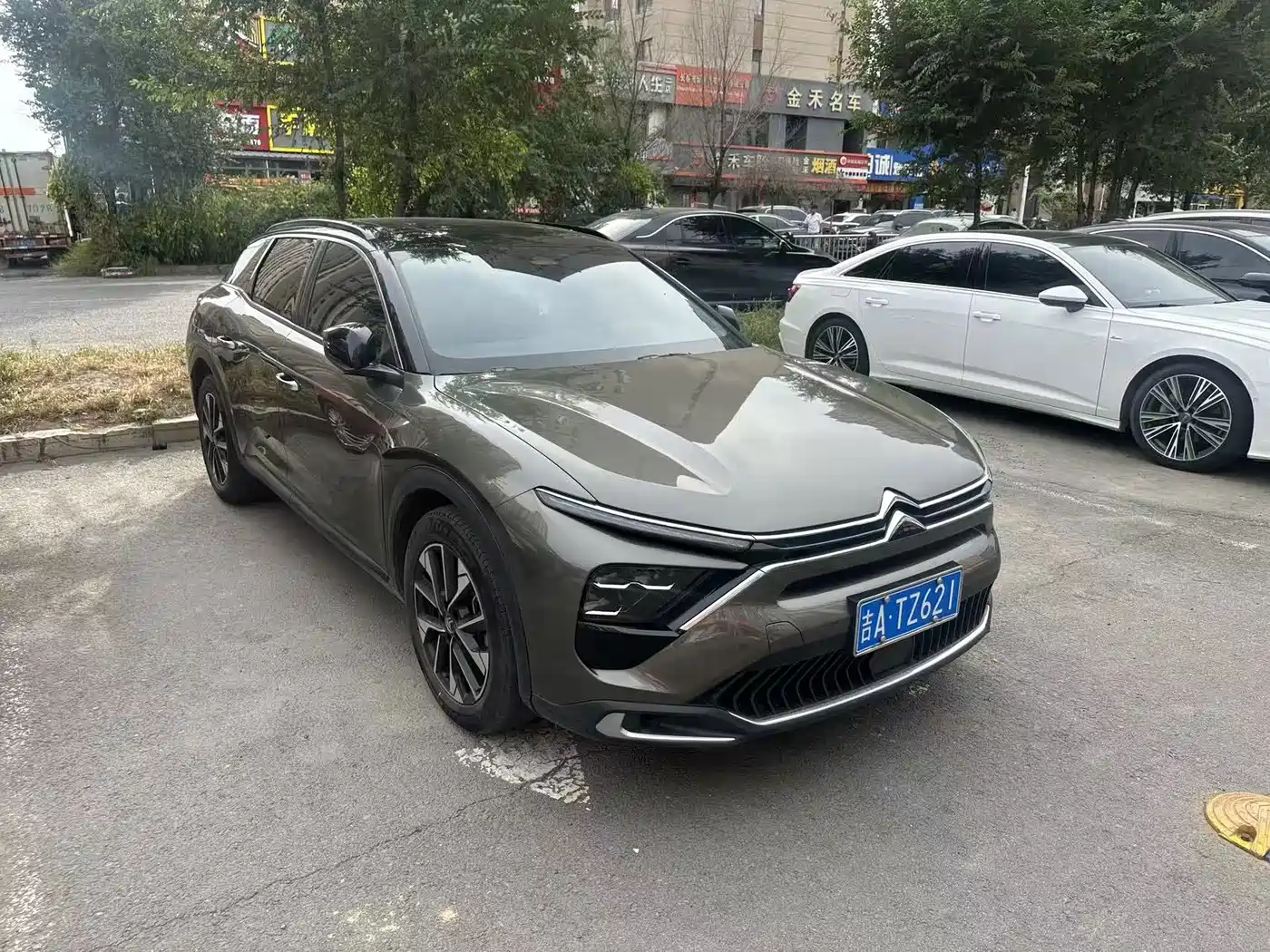 Фото 3 - Citroën Versailles C5 X