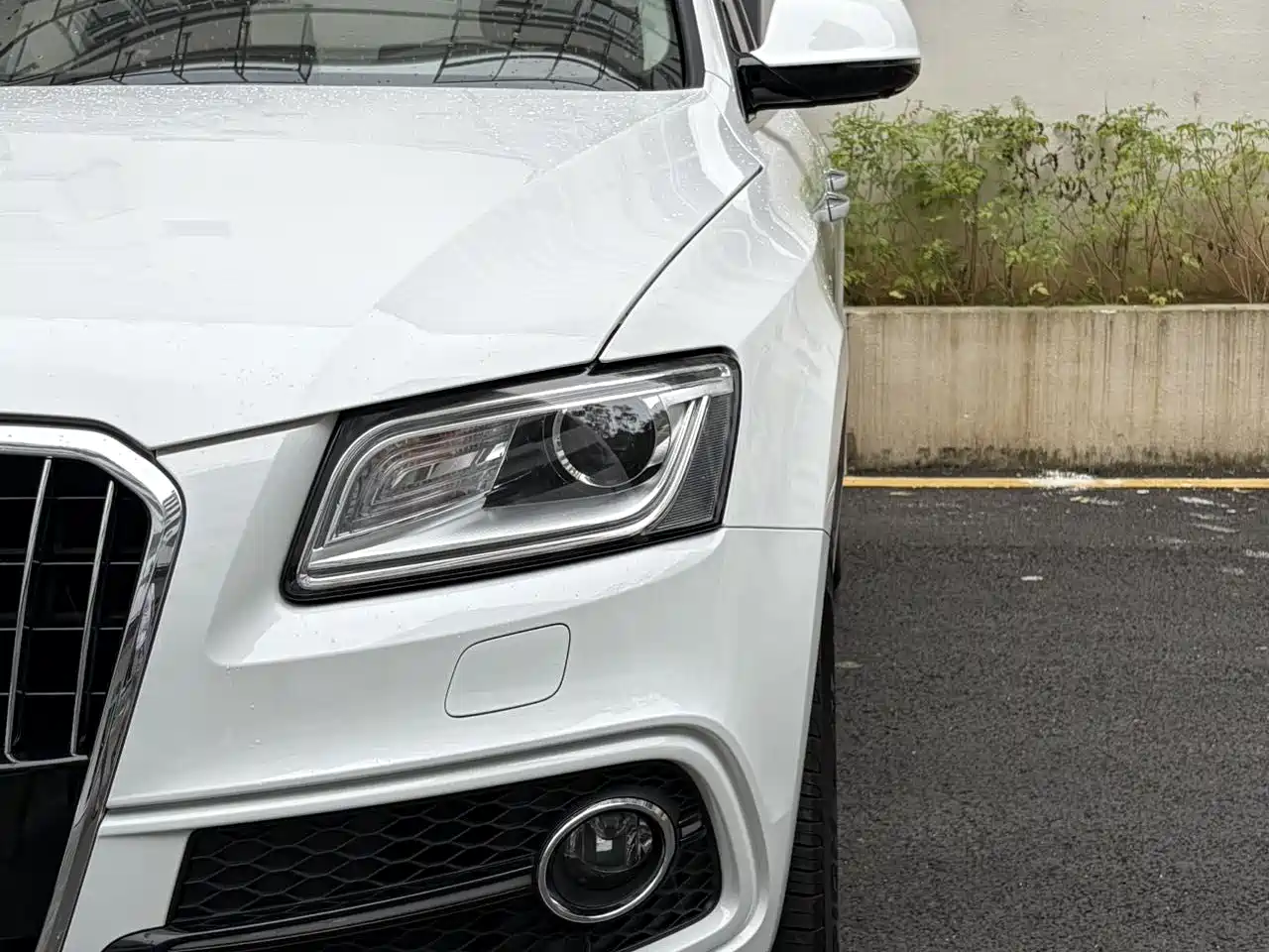 Audi Q5 2017 Plus 40 TFSI Progressive фото 5