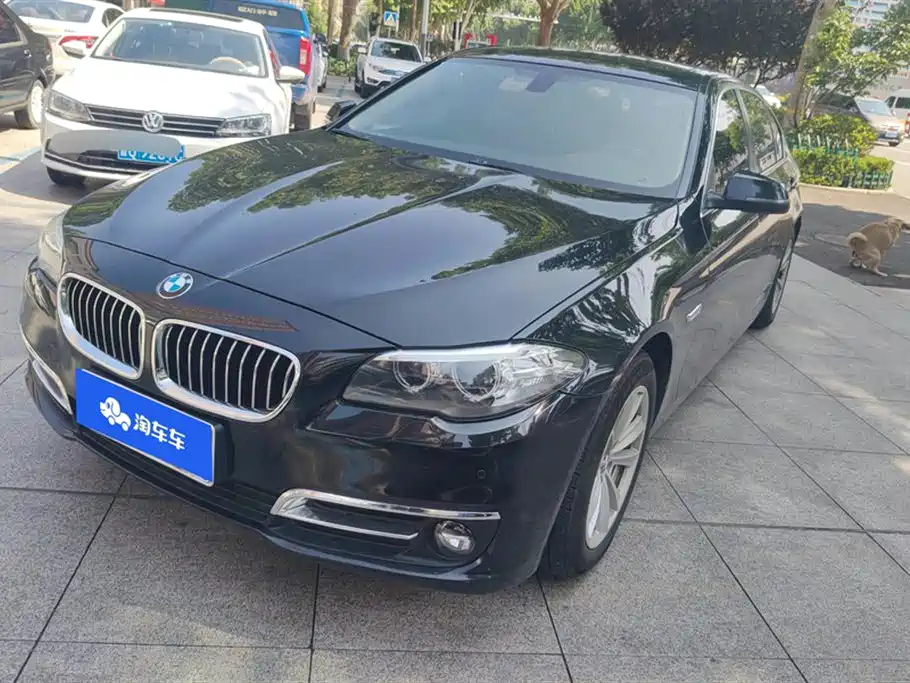 BMW 5 Series 2017 520Li Classic Edition