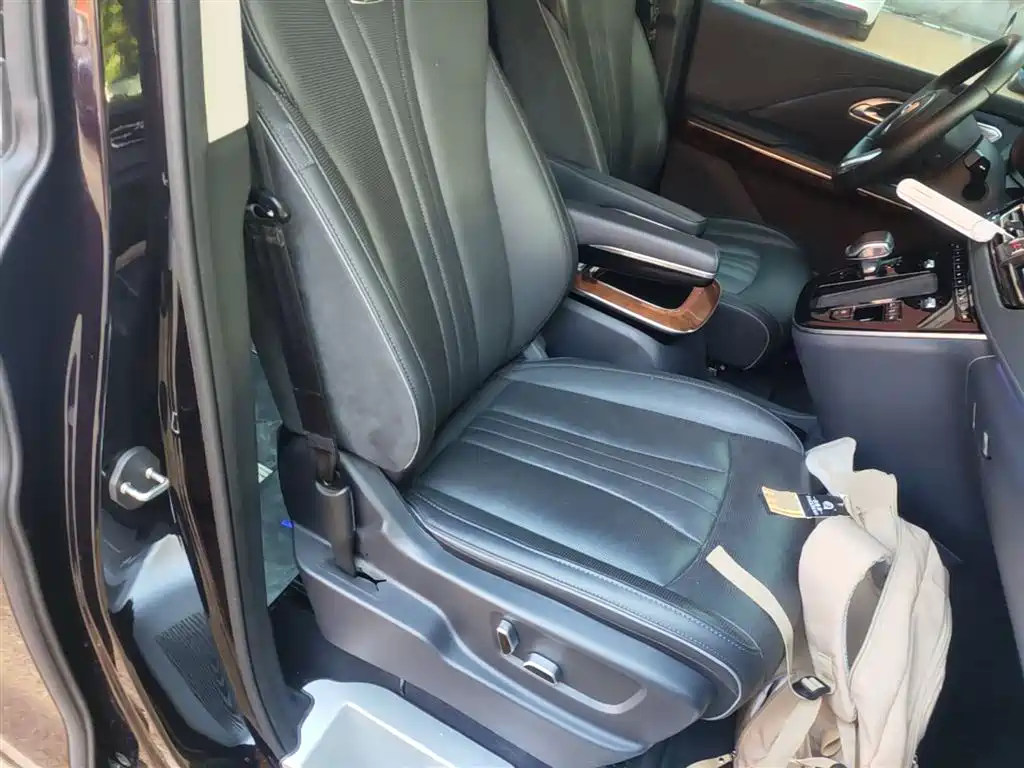 Hongqi HQ9 PHEV 2024 Model 2.0T AWD Luxury Edition фото 25