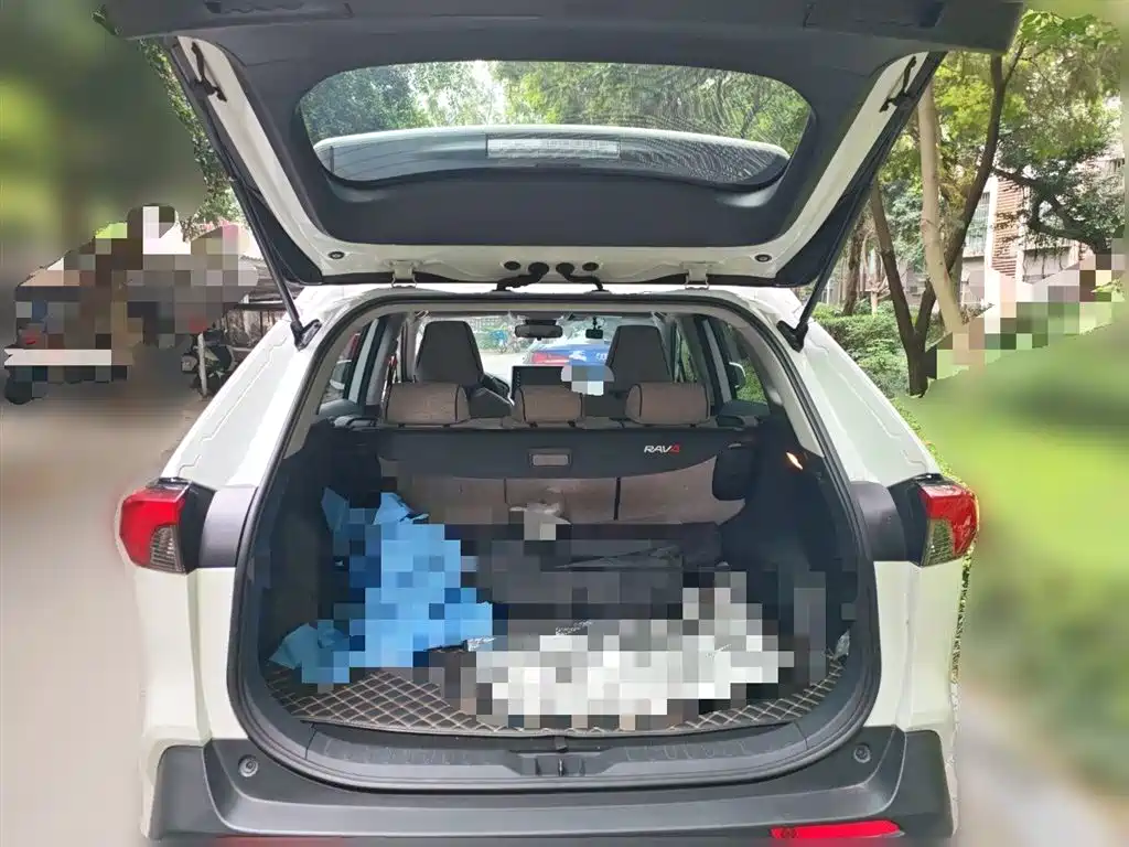 Toyota RAV4 Rongfang 2020 2.0L CVT AWD Trend Edition фото 15