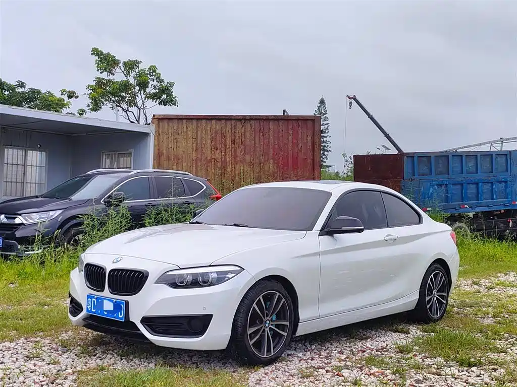 BMW 2 Series (Import) 2018 220i Sport Design Package