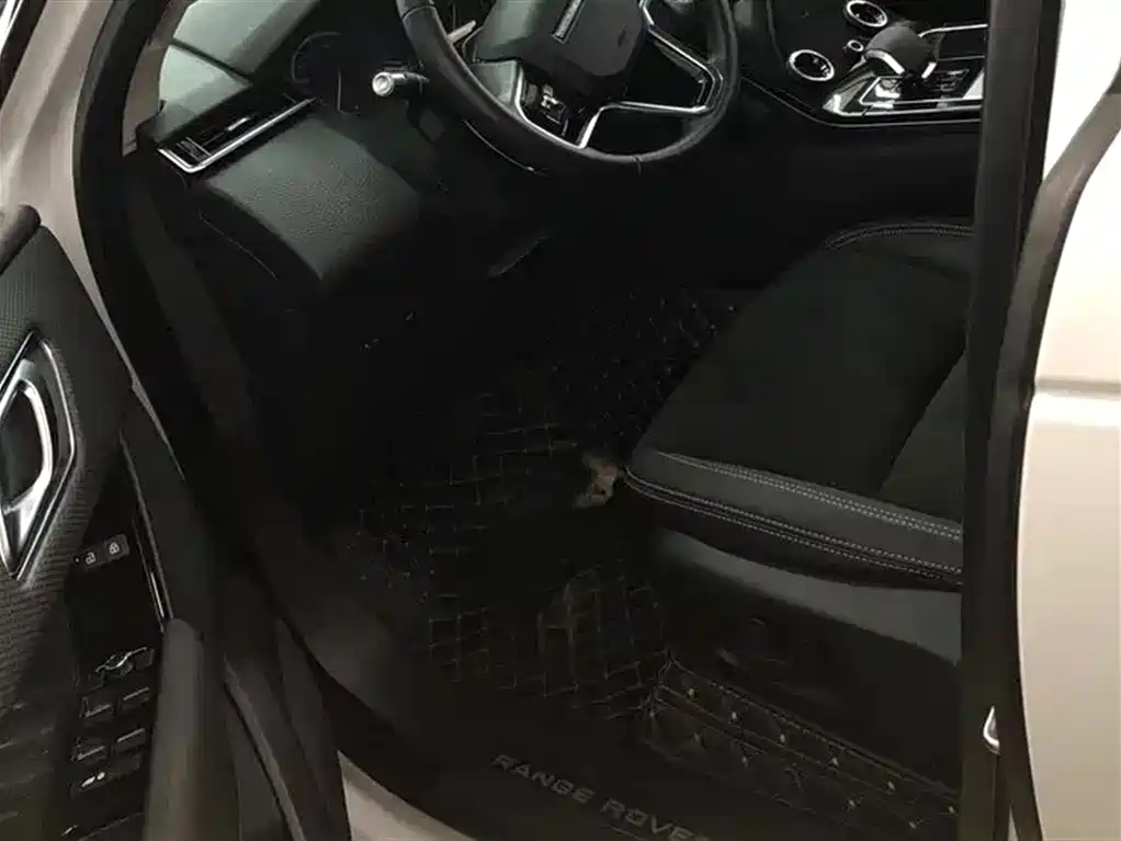 LAND ROVER RANGE ROVER STAR PULSE