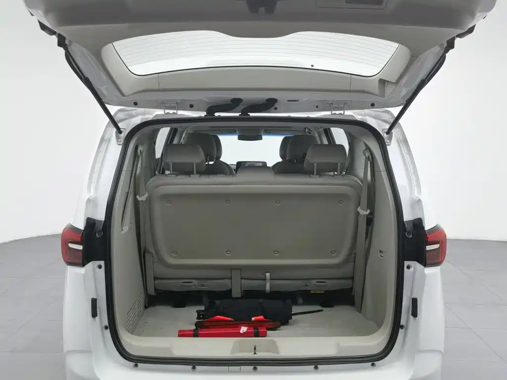 Buick GL8, миниатюра 16