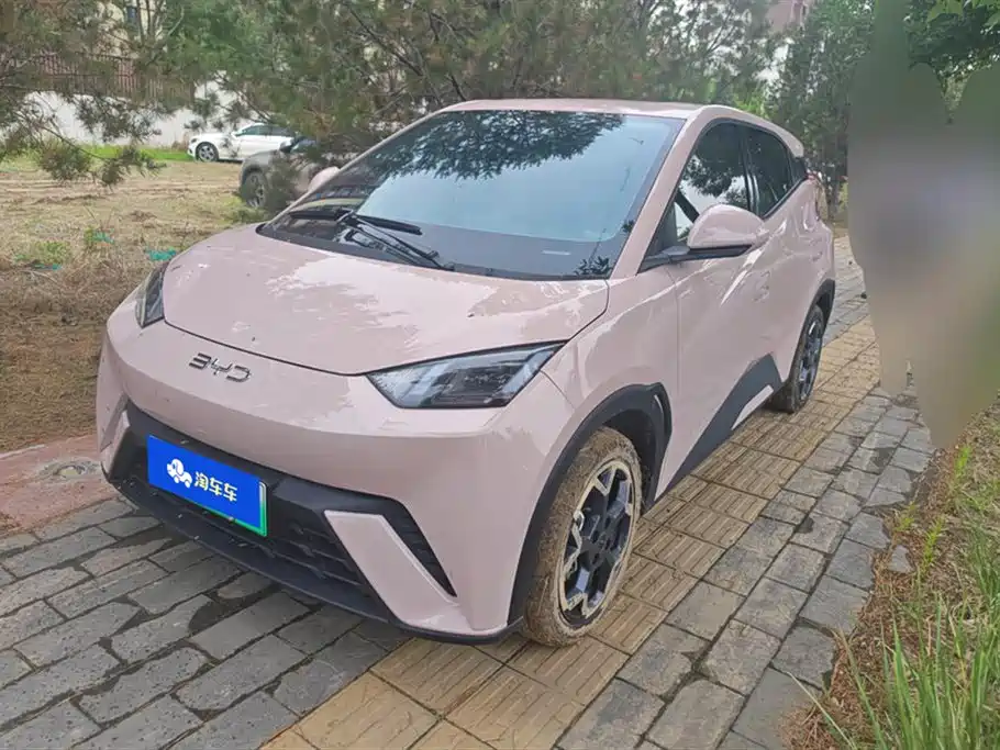 BYD Seagull 2025 305km Freedom