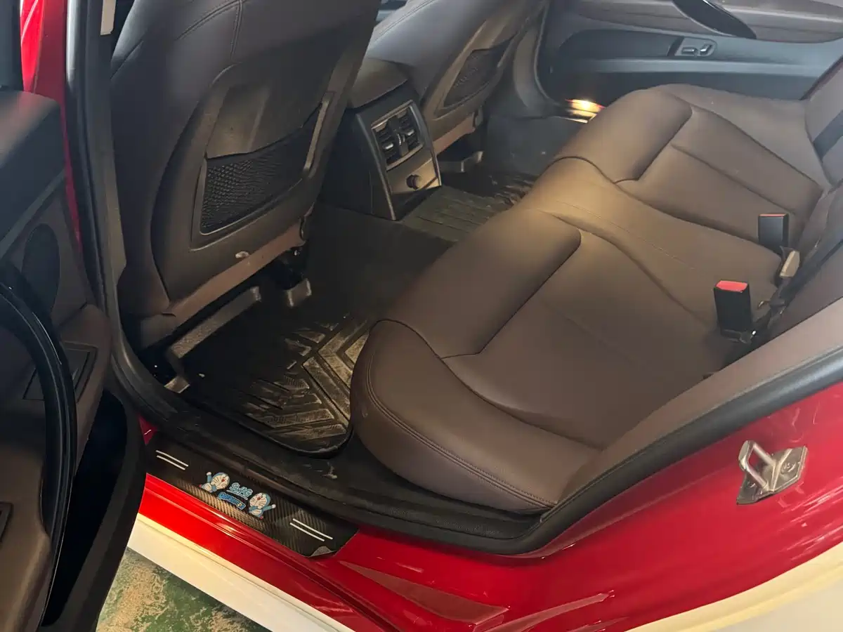 BMW 3 Series 2019 320Li M Luxury Package фото 10