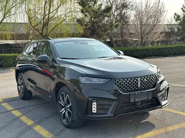 WEI PAI WEI BRAND VV7