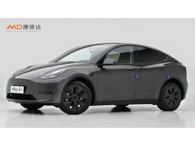 Tesla Model Y 2024 Rear-Wheel Drive Version