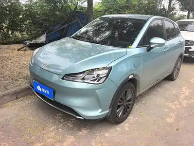 Neta V