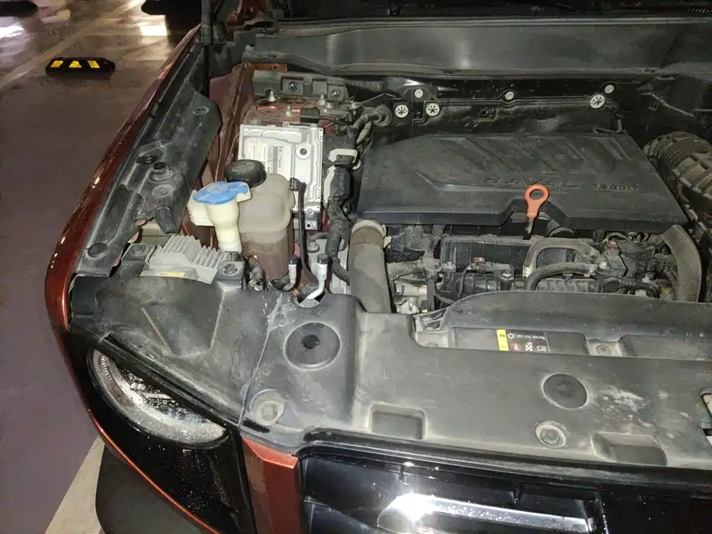 Haval Big Dog 2021 1.5T DCT 2WD Malinois Edition фото 21