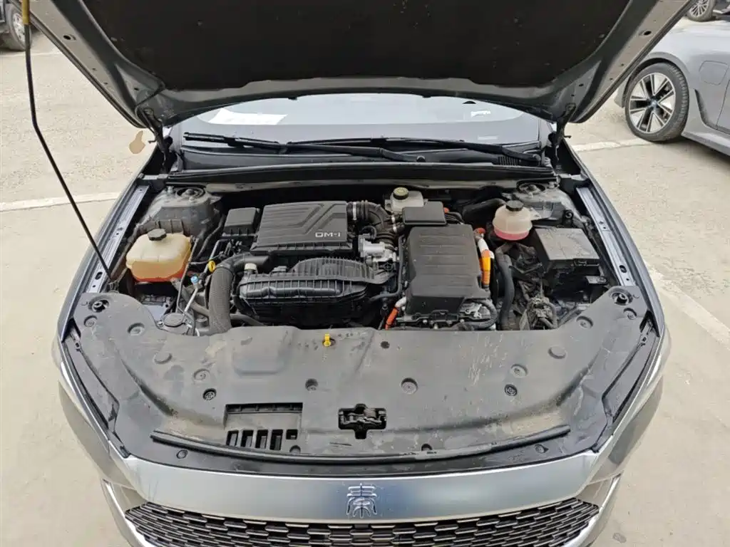 BYD Qin PLUS 2023 Champion Edition DM-i 55KM Leading фото 16