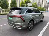 Photo 4 - WEY Lanshan