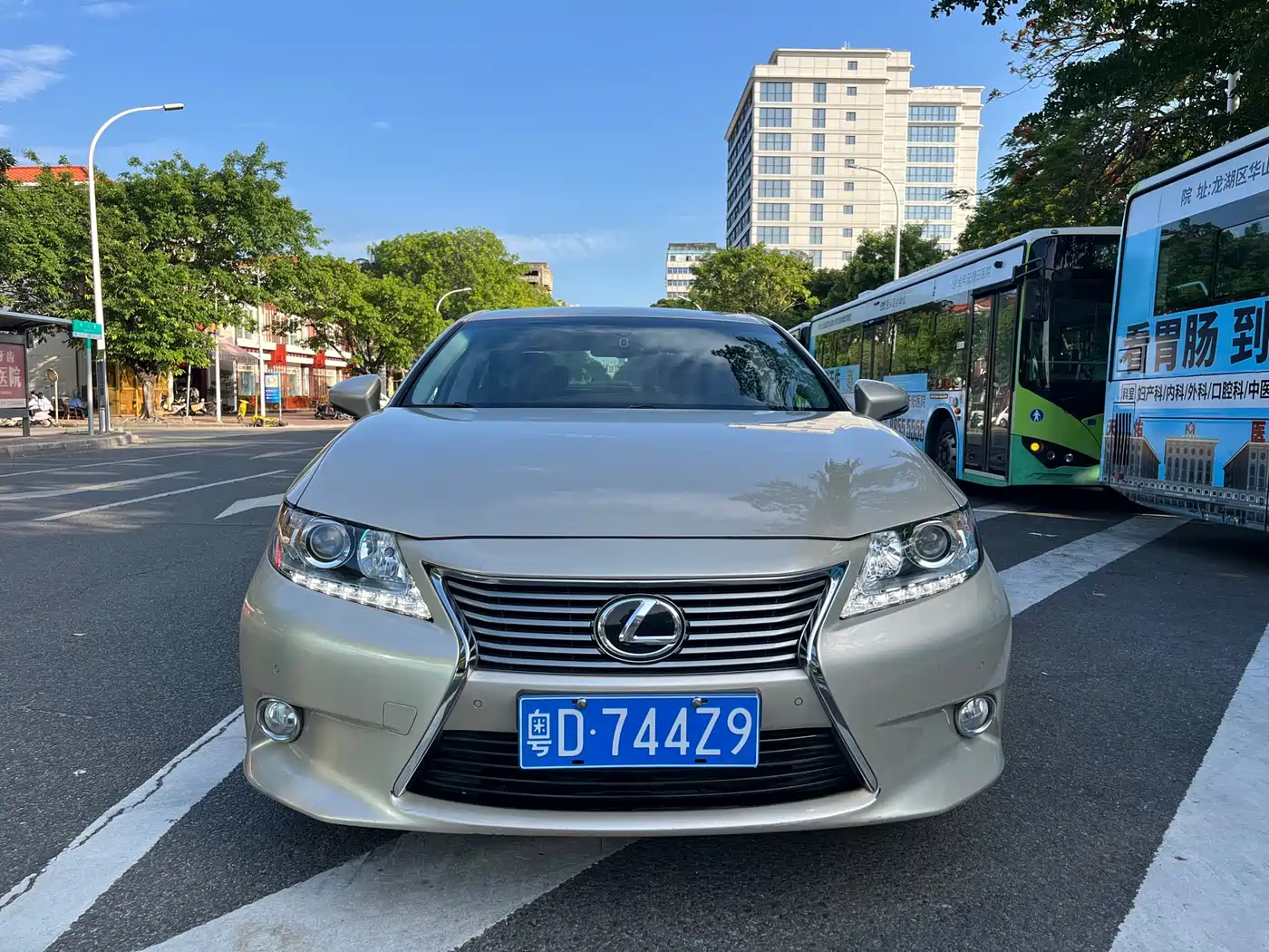 Lexus ES 2013 250 Elite Edition фото 3