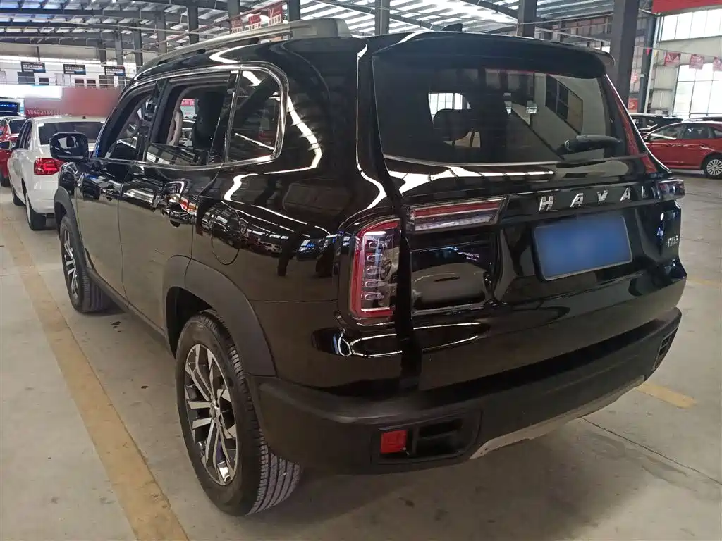 Haval Big Dog 2022 1.5T DCT FWD Border Collie Edition фото 5