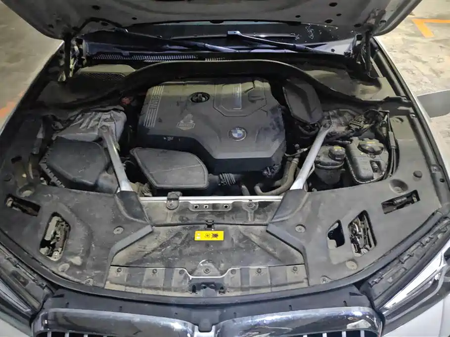 BMW 5 Series New Energy 2021 535Le M Sport Package фото 10